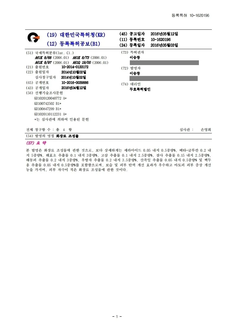 특허 등록공보 캡처